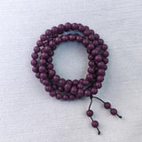sour jujube seed